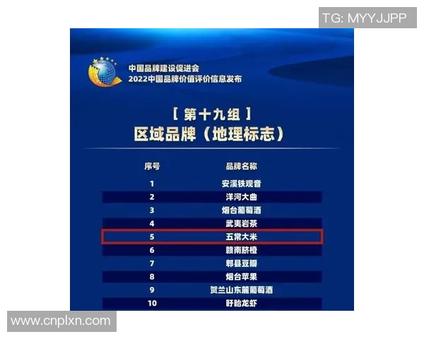 聚焦赞助商战略：提升品牌影响力与市场竞争力的创新模式解析